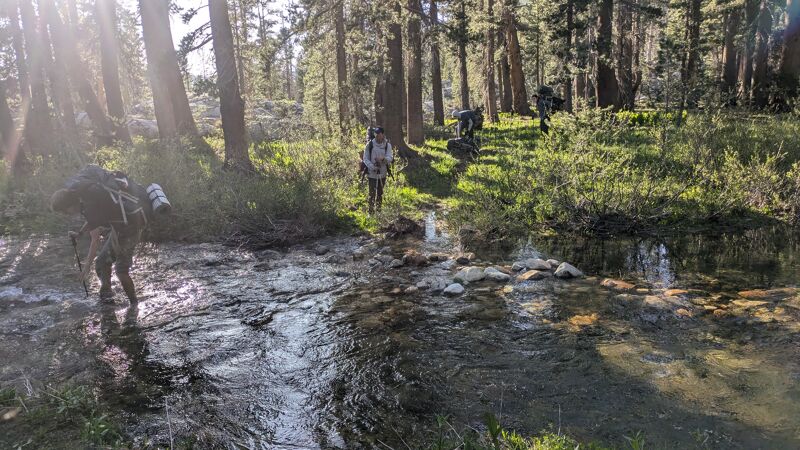 The image shows a group of people hiking through a forest. They are crossing a shallow stream, with some using rocks to step on. The forest is dense with tall trees and green foliage. The sunlight filters through the trees, creating a dappled effect on the ground and water. The hikers are wearing backpacks, suggesting they are on a multi-day trip.